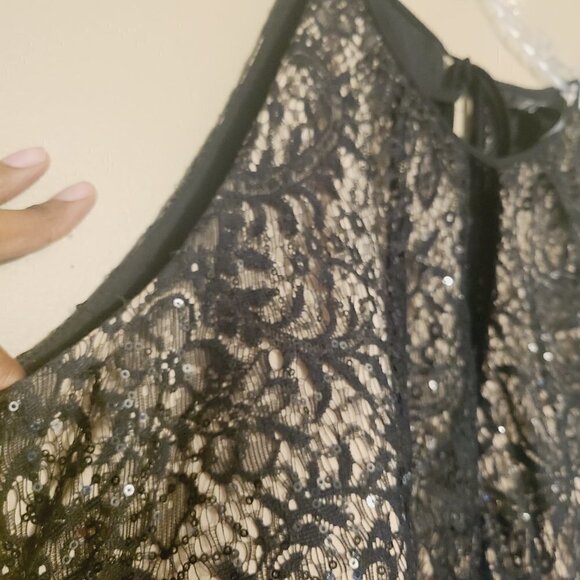 R&M Richards | Black & Taupe Lace Rouched Waist Cocktail Dress (Size 18W) - Picture 9 of 16